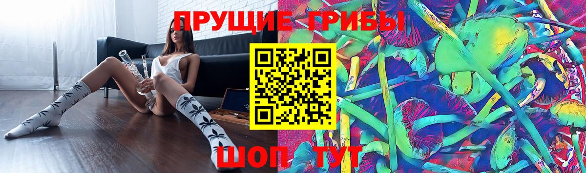 Барабинск  Псилоцибиновые грибы MAGIC MUSHROOMS  Вход с VPN 