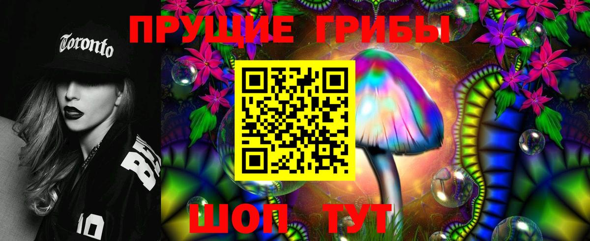 Псилоцибиновые грибы Psilocybine cubensis Барабинск
